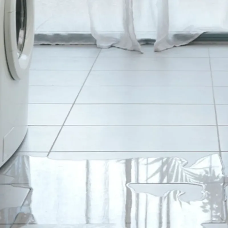 Appliance Leak Cleanup in Riverton, IL