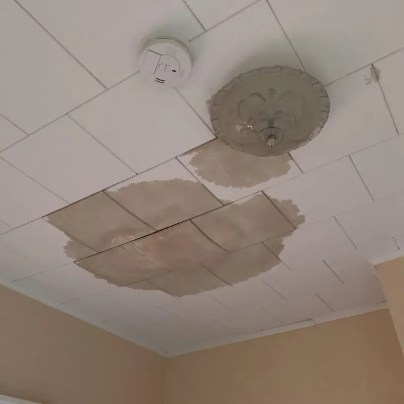 Ceiling Water Damage Repair in Riverton, IL