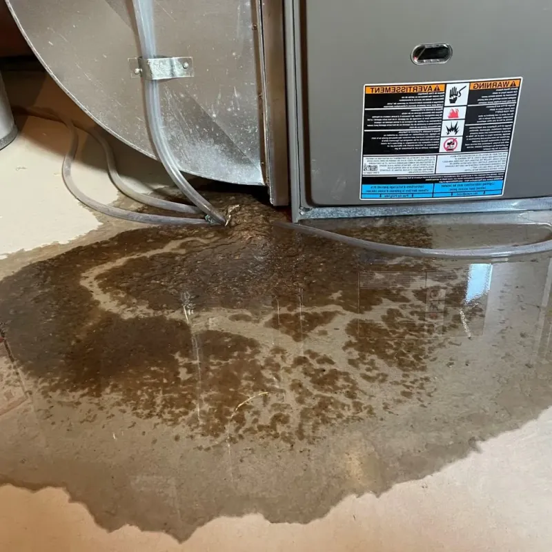 Pipe Burst and Leak Restoration in Riverton, IL
