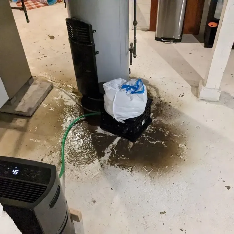 Sewage Backup Cleanup Service in Riverton, IL